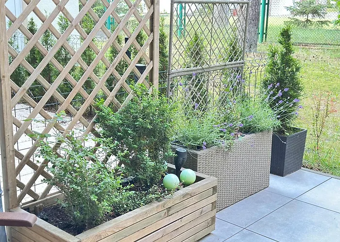 Szum Lasu Blue Mare Z Basenem Epapartamenty